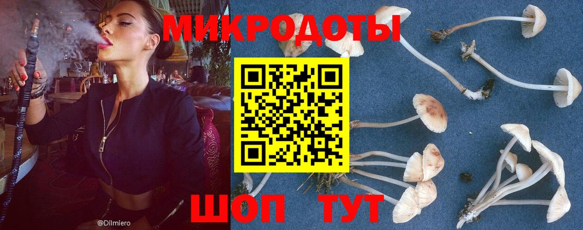 Псилоцибиновые грибы ЛСД Элиста